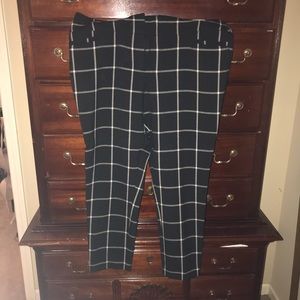 Size 14 Loft Julie skinny dress pant